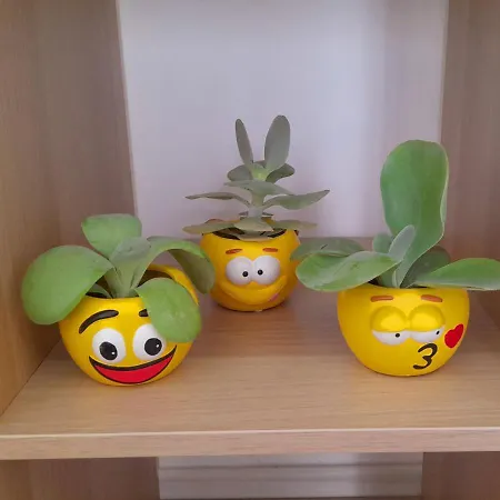 Appartamento Corte Veneta