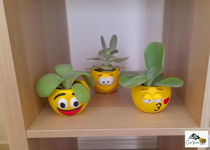 Appartamento Corte Veneta